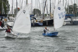 Ballet d'Optimists dans le port